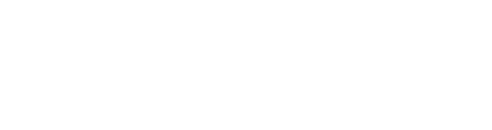 Veterans Energy Team Logo in teh color white